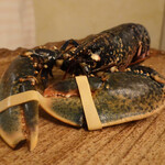 User's review image for ボニュ