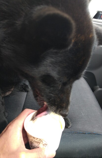 User's recommendation image for 幸せの生ソフト プチラパン