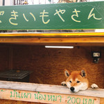用戶對於犬のやきいも屋さん的評論圖