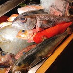 User's review image for なきざかな 新宿店はなれ