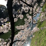 用戶對於日本武道館 売店的評論圖