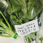 User's review image for 新鮮ひろば かのな