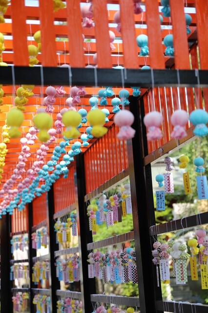 用戶對於風薫る神社なおきち的評論高清圖