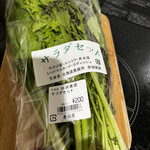 User's review image for 新鮮ひろば かのな