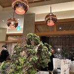User's review image for 土鍋炊ごはん なかよし 渋谷ストリーム店