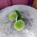 User's review image for もく庵