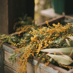 User's review image for 森森舎