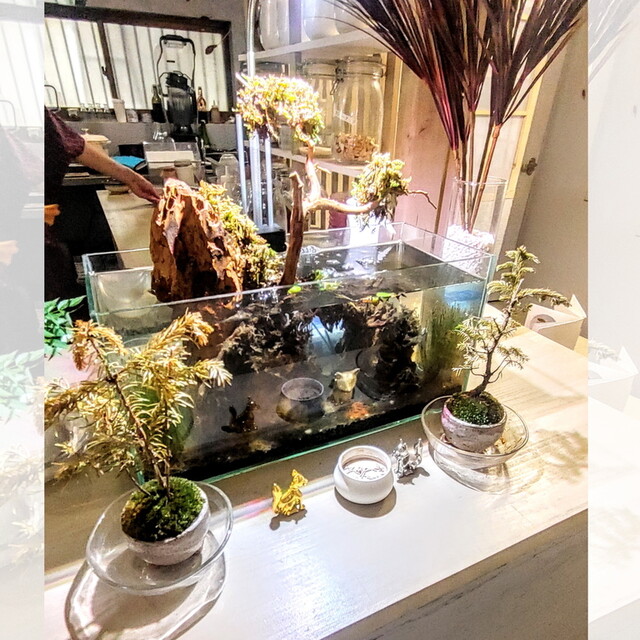 User's recommendation image for かふぇ茶色