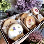 用戶對於コチト ハナトオカシト的評論圖