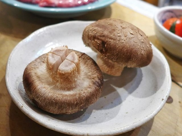 用戶對於生ラムジンギスカン 山小屋的評論高清圖