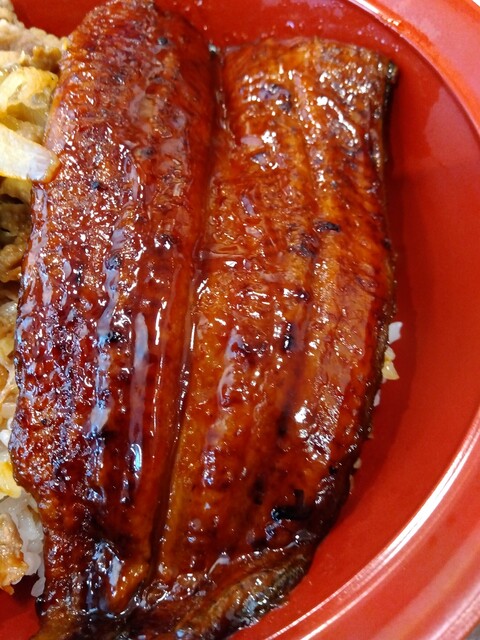 User's recommendation image for すき家 品川東店