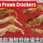 用戶對於越前海鮮倶楽部 大阪店的評論圖