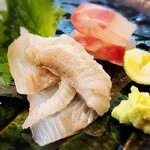 用戶對於鮨 まつざわ的評論圖