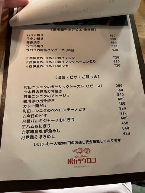 User's recommendation image for 根カラウロコ