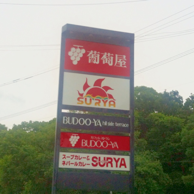 用户对于レストラン葡萄屋的评论图