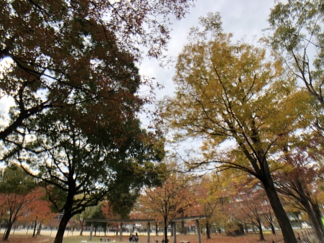 用戶對於33カフェ グリーン的評論高清圖