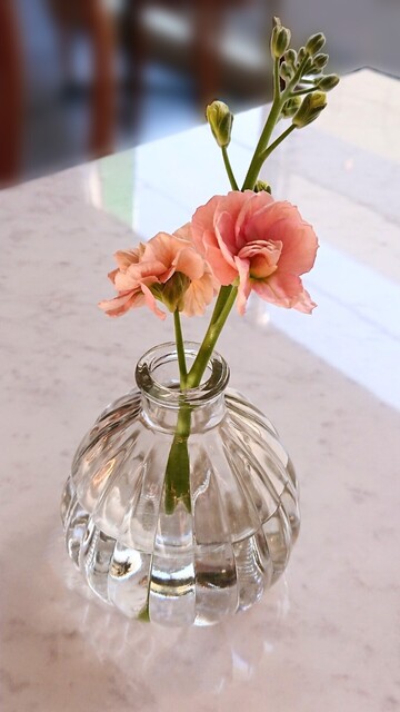 User's recommendation image for cafe satsuki