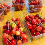 用戶對於ニトリ観光果樹園的評論圖