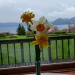User's review image for フェニックス洞爺クラブ