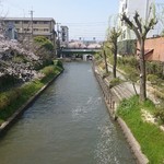 用户对于ベーグルカフェ ピギー的评论图