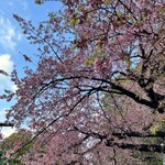 User's review image for 個室居酒屋 座楽 上野駅前店