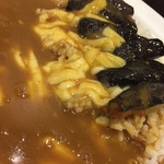 用户对于CoCo壱番屋 伏見醍醐店的评论图