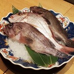 用戶對於泉岳寺門前 紋屋的評論圖