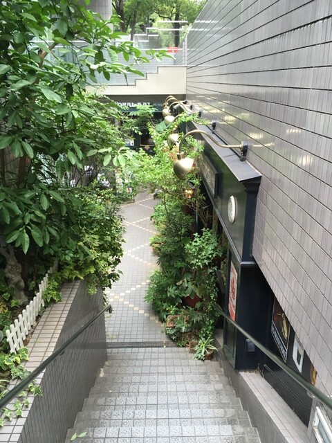 User's recommendation image for オールド・ローズ・ガーデン