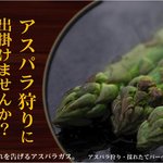 用户对于楽菜ファーム的评论图