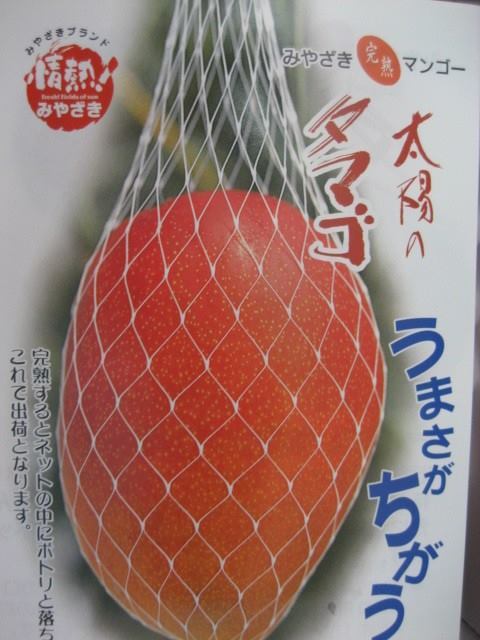 用戶對於九州屋 博多大丸福岡天神店的評論圖