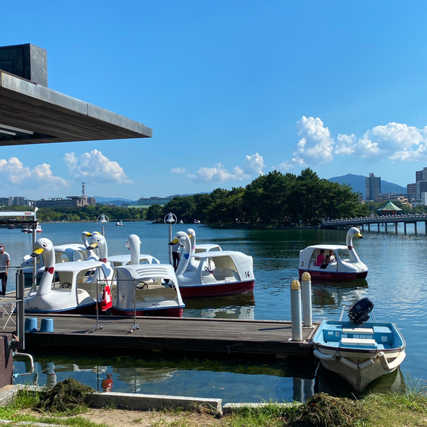 User's review image for ホットドッグ 大濠公園ボート乗り場