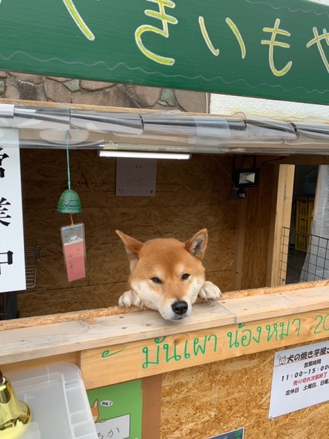 用戶對於犬のやきいも屋さん的評論圖
