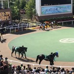 用户对于松本商店的评论图