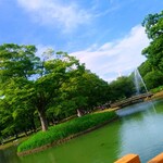 用户对于小春日和 TOKYO的评论图