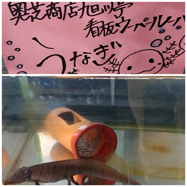 用户对于スープカレー奥芝商店 旭川亭的评论高清图