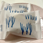 User's review image for SNOWS