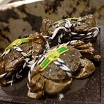 User's review image for KOBAYASHI