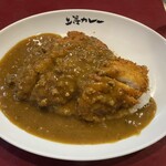 用戶對於上等カレー 秋葉原店的評論圖