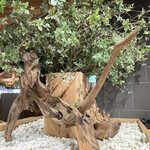 User's review image for EDOCCO CAFE MASU MASU