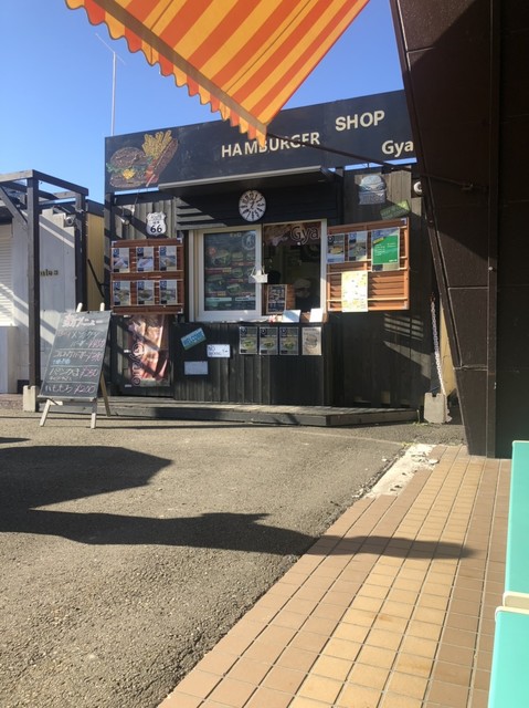 用户对于Gyaro的评论高清图