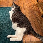 User's review image for ニッキカフェ