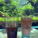 用戶對於AQUA GARDEN KYOTO的評論圖