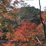User's review image for 有喜堂 本店