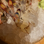 User's review image for 魚屋豪椀