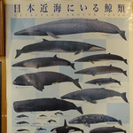 用户对于築地の鯨的评论图