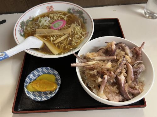 用户对于花ちゃん的评论图