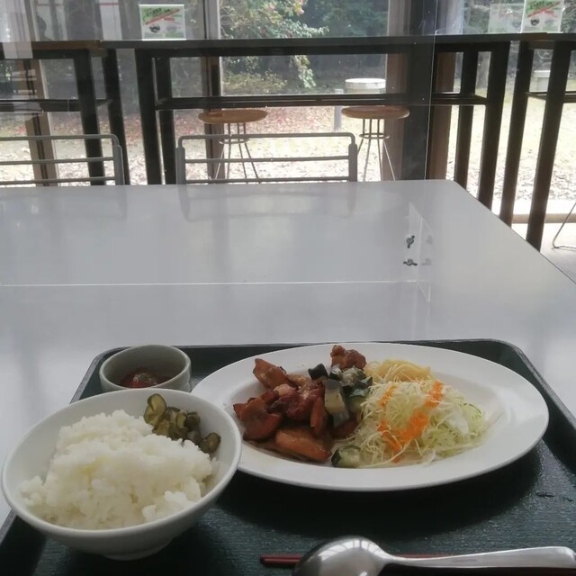 用户对于東京都立大学　南大沢キャンパス　生協食堂的评论高清图