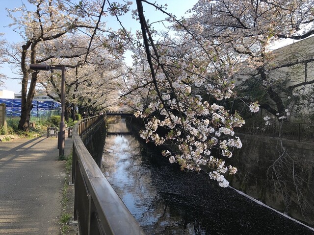 用戶對於サミットストア 成城店的評論高清圖