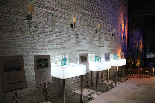 User's review image for ラグナヴェール AOYAMA