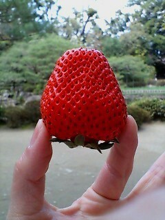 用戶對於京野菜かね松老舗的評論圖